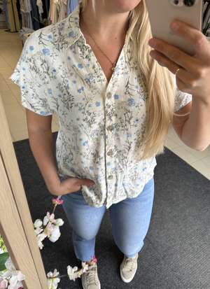 TOPP I LINNEBLANDNING